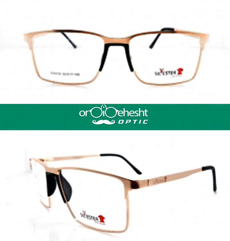 عینک طبی مردانه SILVESTER