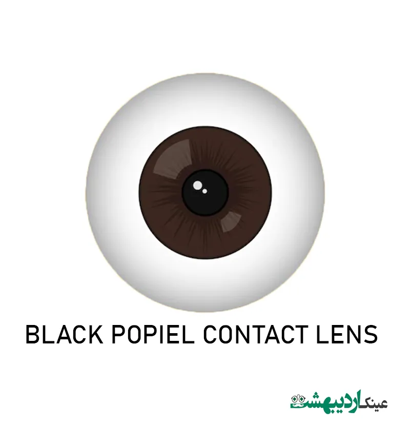 لنزblack popiel