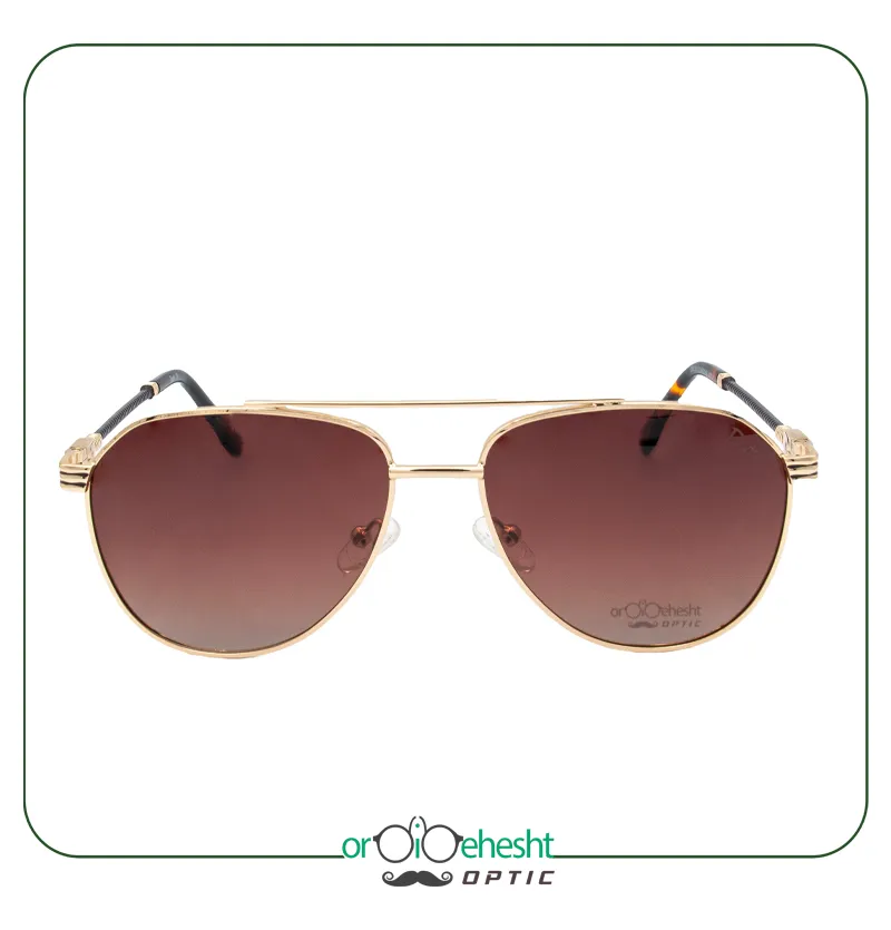عینک آفتابی مردانه DouTi مدل S6633 C1 با فریم طلایی و لنز قهوهای گرادیانت | UV400